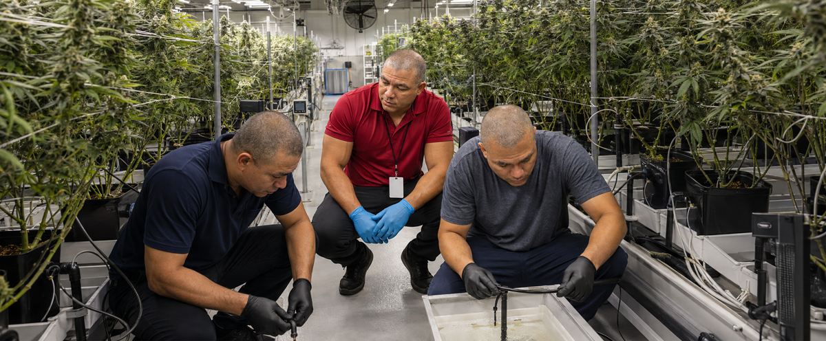 Why work with hempcbdtime.com — CBD Topicals